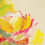 Colleen Ross Fine Art Gallery Paintings Bouquet on Linen